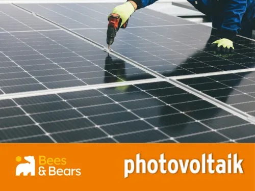 Titelbild PV Webinar Bees & Bears